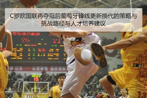 luo-ou-guo-lian-zai-duo-guan-hou-pu-tao-ya-feng-xian-geng-xin-huan-dai-de-ce-lve-yu-tiao-zhan-lu-jing-yu-ren-cai-pei-2-417.jpg